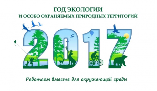 Утвержден план мероприятий по проведению в Новгородской области Года экологии