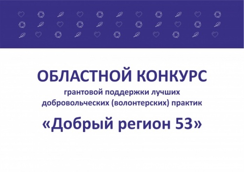 Подведены итоги областного конкурса по грантовой поддержке волонтерских проектов