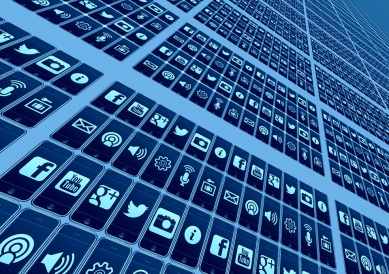 Школьники Великого Новгорода станут участниками Урока безопасного интернета