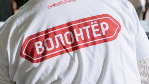 В Новгородской области волонтеры могут получить дополнительные баллы при поступлении в вуз