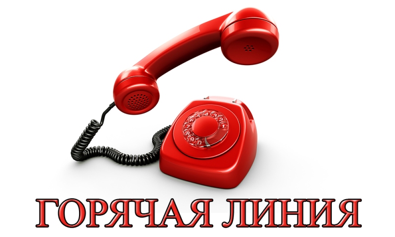22 декабря состоялась горячая линия» по вопросам противодействия коррупции в сфере образования