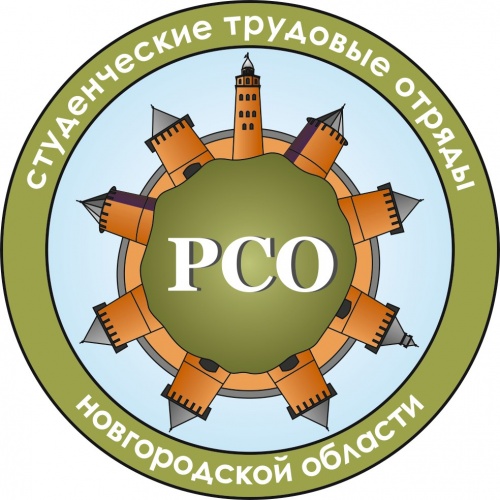 В ежегодном рейтинге РСО Новгородское региональное отделение заняло 14 место