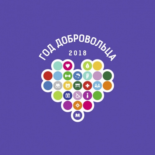 Новгородские волонтерские инициативы вошли в «Акселерацию проектов»
