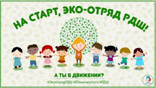 На старт, эко-отряд РДШ!