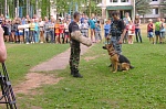 Итоги областного конкурса оборонно-спортивных лагерей области 