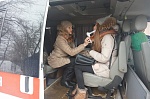 17 ноября 2016 года на базе ОАУ «Дом молодежи, центр подготовки граждан к военной службе» стартовала областная акция в рамках Международного дня отказа от курения