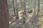 Межрайонный туристический слет