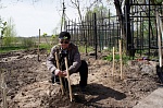 На минувшей неделе окончена «Вахта Памяти» на Петровском кладбище Великого Новгорода