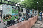Ежегодный молодежный Арт-фестиваль «ПТИЦА»