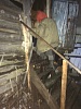 31 января 2016 года на территории Новгородского муниципального района успешно стартовала патриотическая акция "Софийский десант".