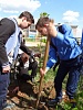 В Новгородской области продолжает свою реализацию эколого-патриотический проект Зелёной России «Лес Победы»