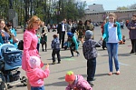 Сразу несколькими патриотическими акциями отпраздновали День Победы сотрудники Дома молодёжи и волонтеры 70-летия Победы