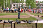 Итоги областного конкурса оборонно-спортивных лагерей области 