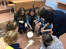 Студенческие педагогические отряды Новгородской области пополнились новыми бойцами