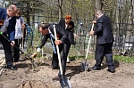 На минувшей неделе окончена «Вахта Памяти» на Петровском кладбище Великого Новгорода