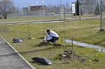 Сотрудники и активисты ОАУ «Дом молодежи, центр подготовки граждан к военной службе» посадили деревья в рамках Всероссийских акций "Лес Победы" и "Зеленая волна"