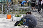 На минувшей неделе окончена «Вахта Памяти» на Петровском кладбище Великого Новгорода
