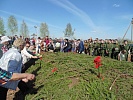 «Вместе мы едины!» под таким девизом прошли  все патриотические мероприятия,  организованные  Волонтёрами  Победы  г. Чудово